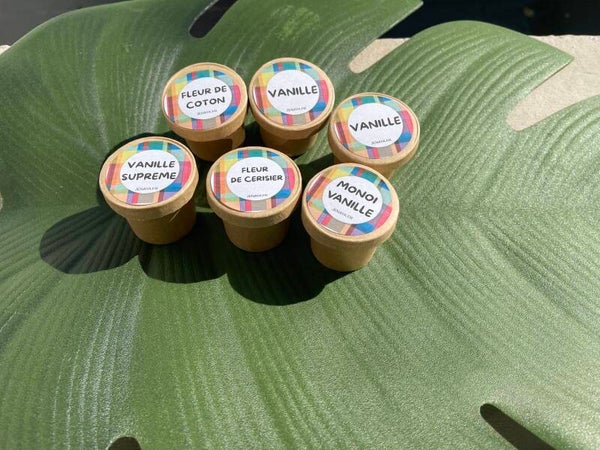 Abonnement mensuel de 6 fondants parfumés et 12 bougie chauffe plat