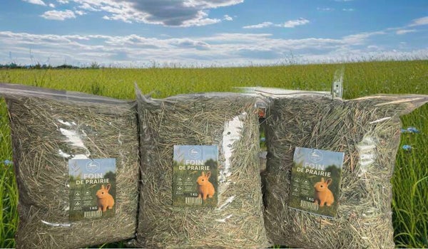 Foin lapin 3 kg (pack économique)
