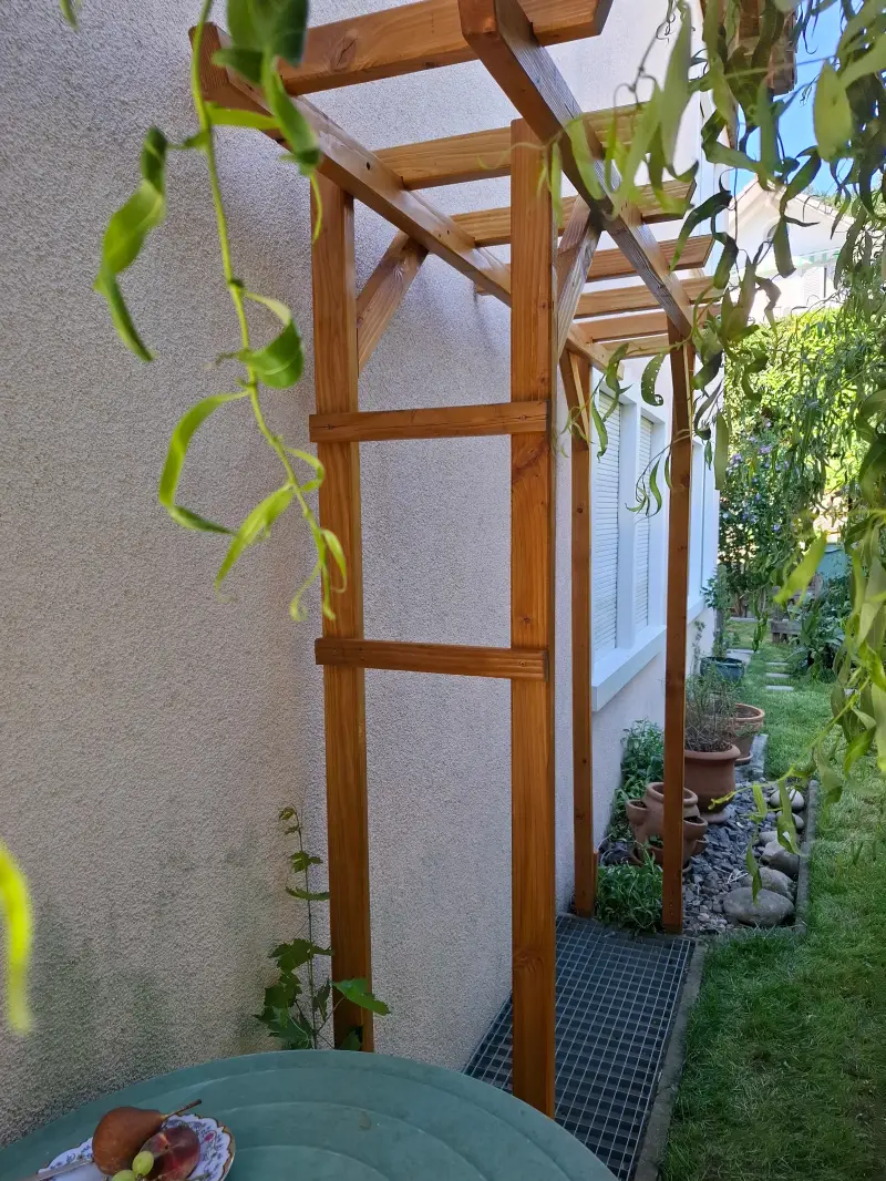 Wandpergola aus Douglasie geölt mit Weinstock als Begrünung