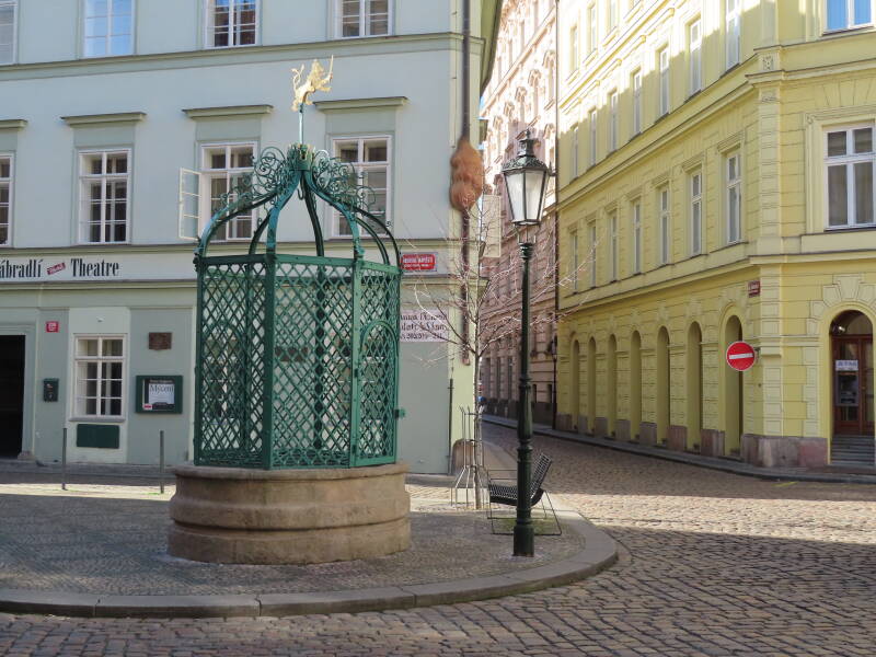 Embryo door regenpijp in Praag