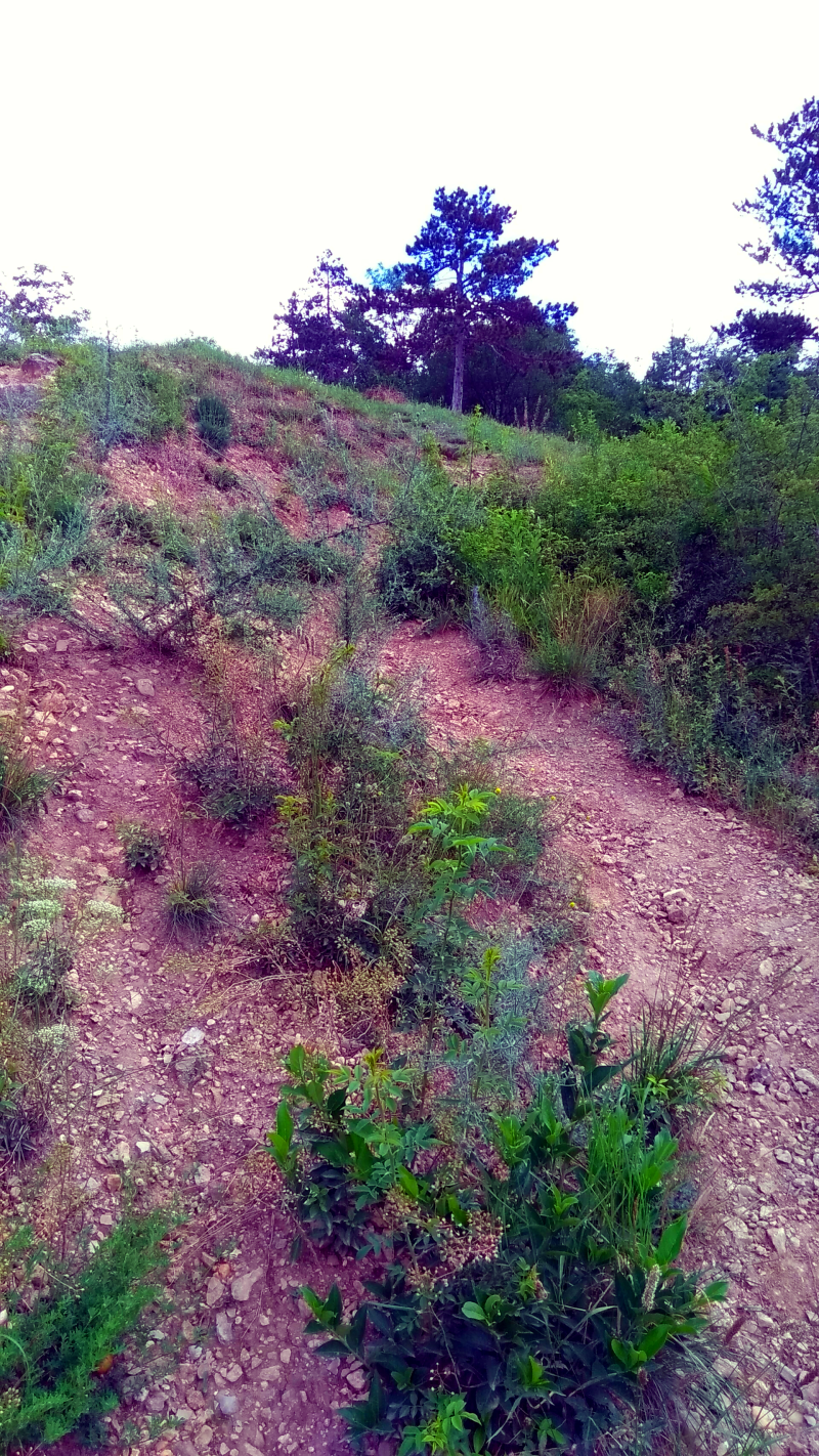 Branické skály in Praag