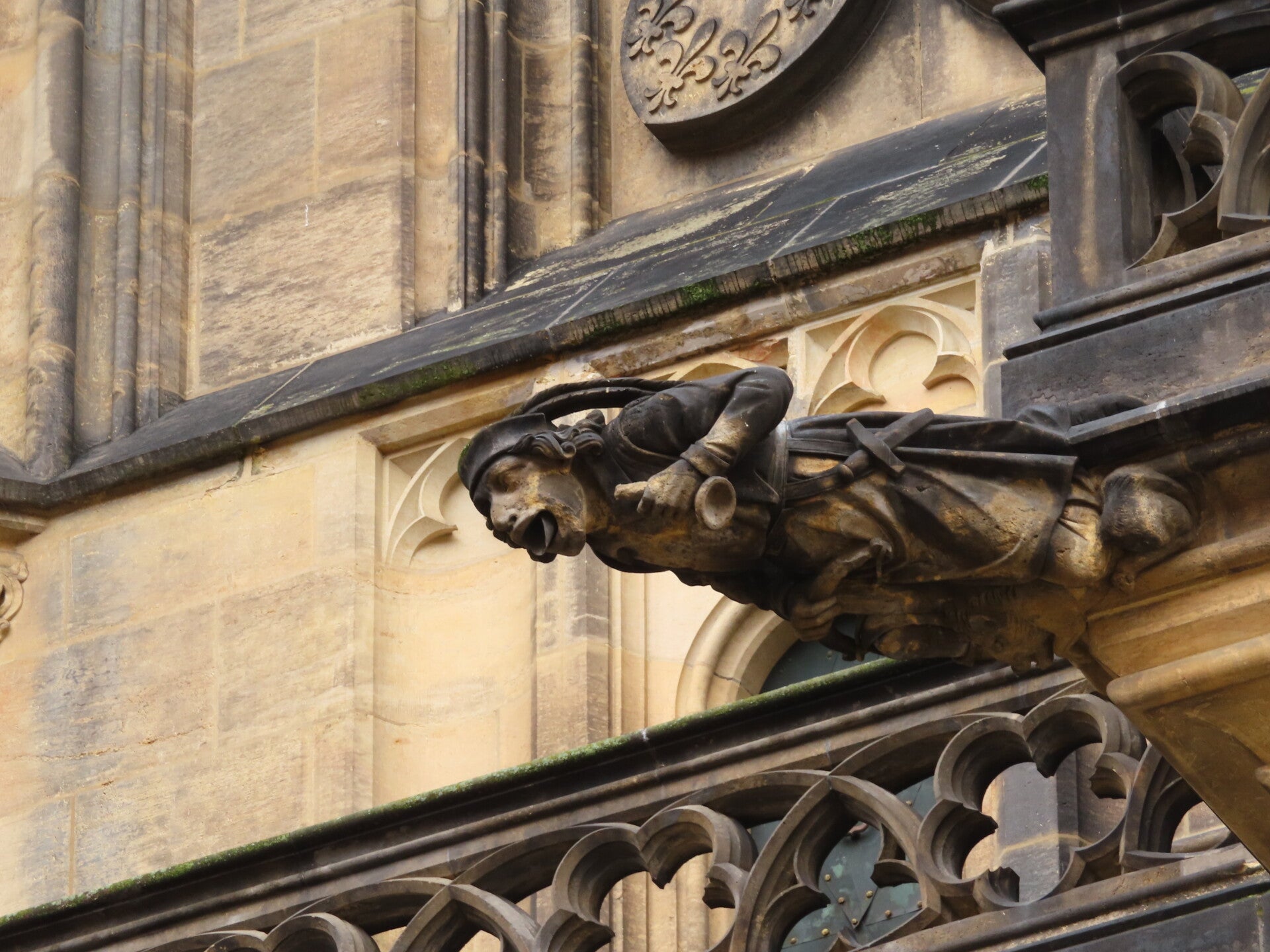 praagse-burcht-sin-vitus-kathedraal-detail-waterspuwer-3-standard.jpg