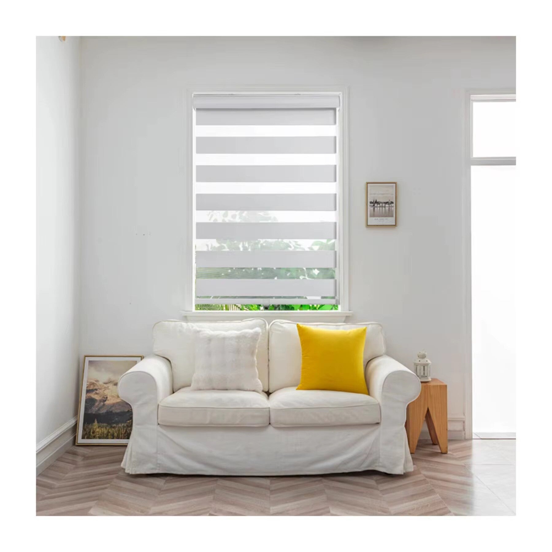 solidzebra-standard-3nfzuf.jpg
