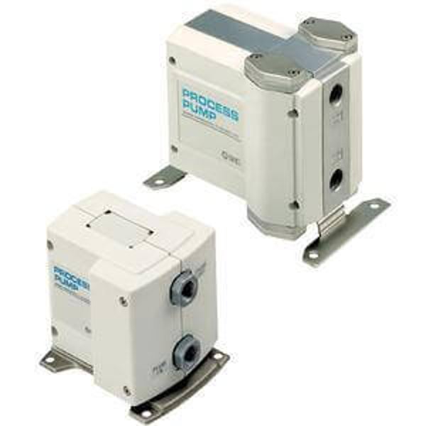 Coating Pump