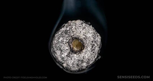Donuts
