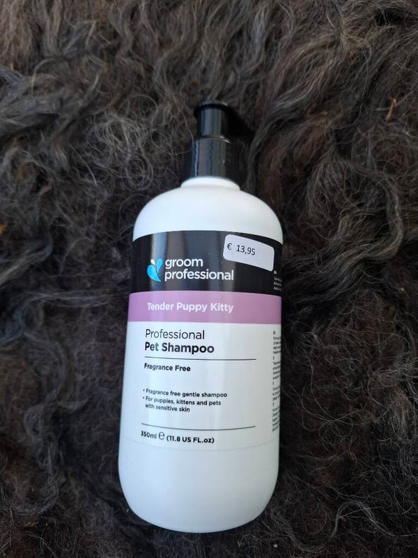 Puppy of kittenshampoo