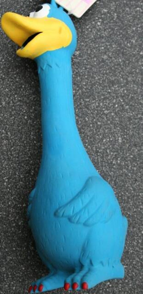 Eend schreeuwend groot