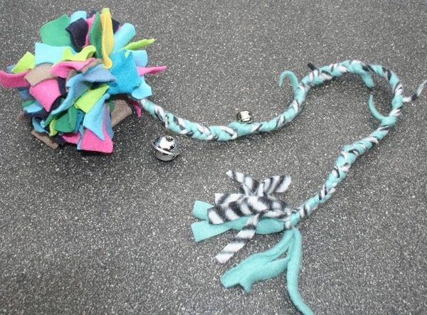 Fluffy kleurenbal kat