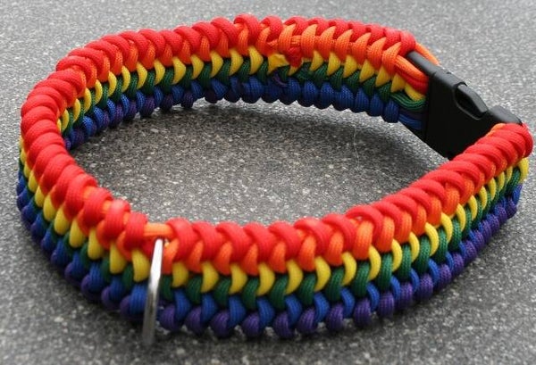 Regenboog halsband XB 25-30 cm.