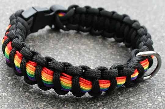 Regenboog halsband S 41-50 cm.