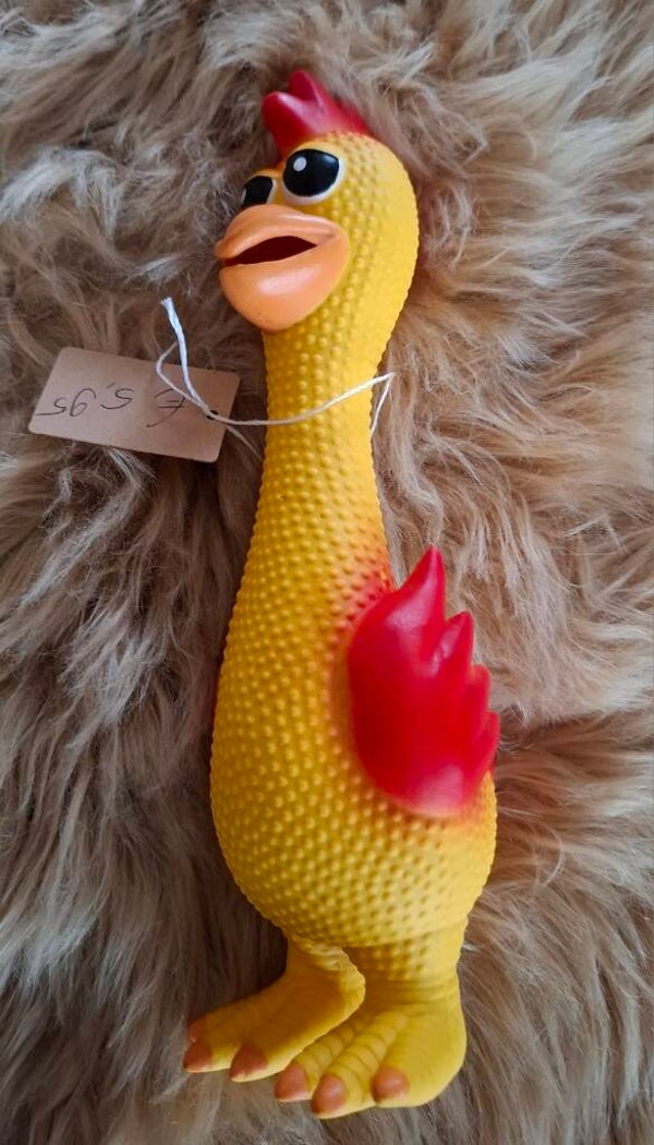 Kip 26 cm met schreeuwgeluid