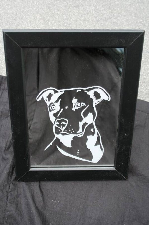 Spiegel met lijst "Pitbull"