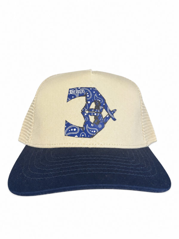 Bronx Logo Hat Paisley pattern