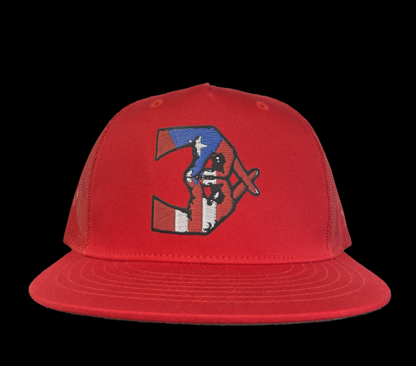 NewYoRican Red BxLogo SnapBack