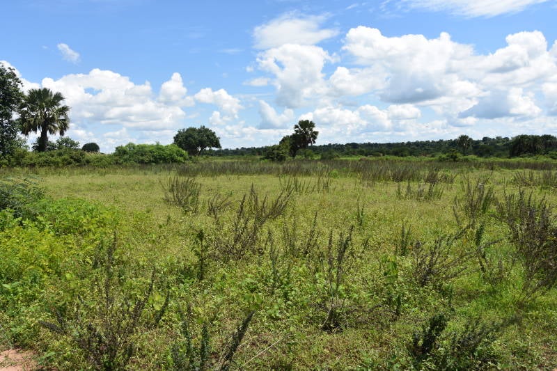 huisbezoek,opzoeken,landbouw,telen,kweken,voedsel,eten,afrika,oeganda,uganda,hulp,help,helpen,steun,project,projecten,kinderen,hiv+,hiv,AIDS