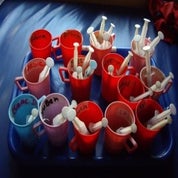 2009374.jpg