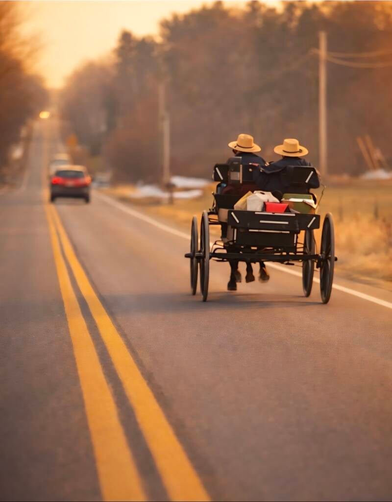 Amish buggy