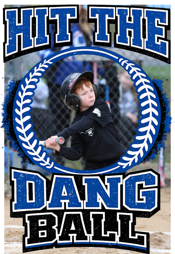 Custom HIT THE DANG BALL
