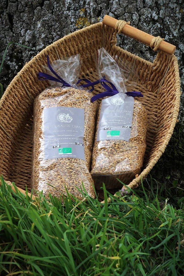 Petit épeautre en grains