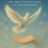 www.bookoflight.eu favicon
