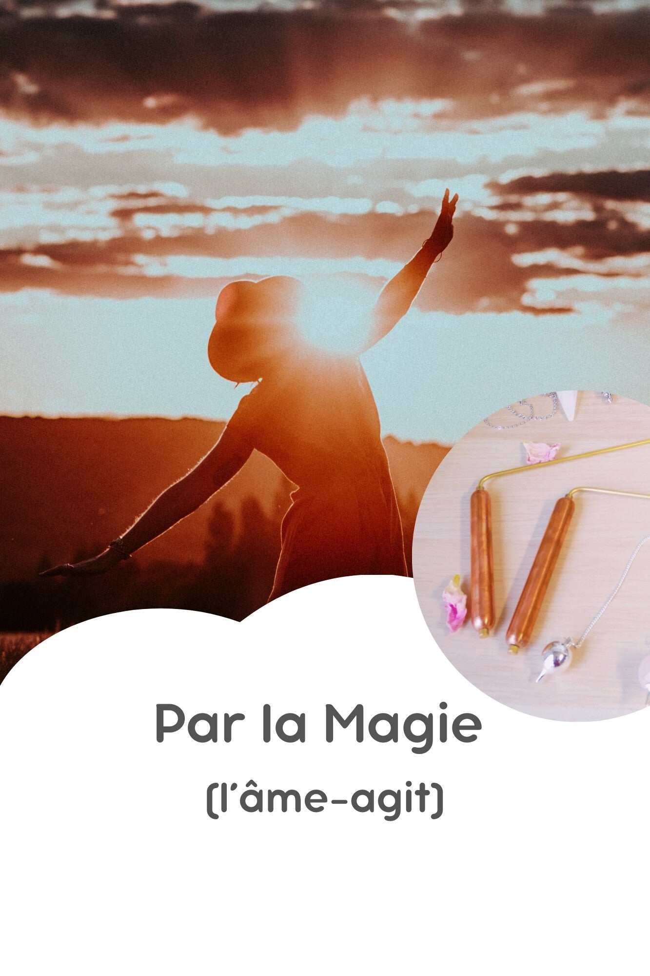 Des sorties nature pour découvrir et se relier à la vie