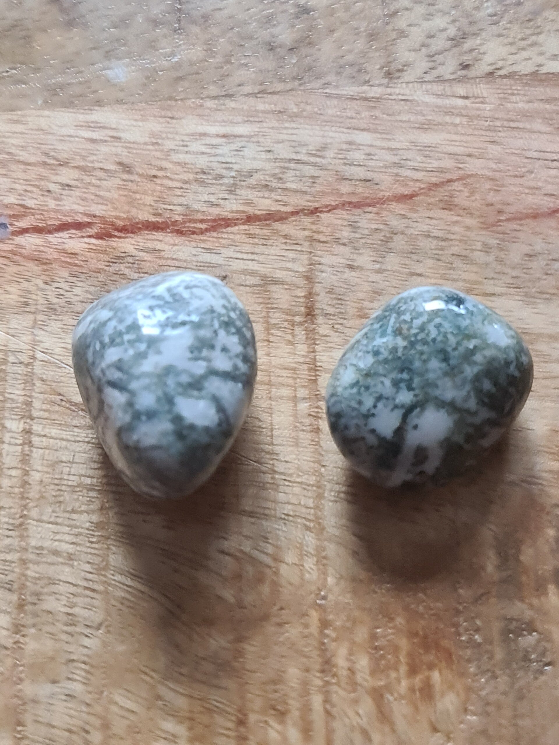 Boomagaat trommelsteen