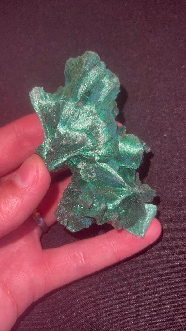 Spectaculaire Fluweel Malachiet Cluster met Waaierstructuur (Congo) – 135 gram