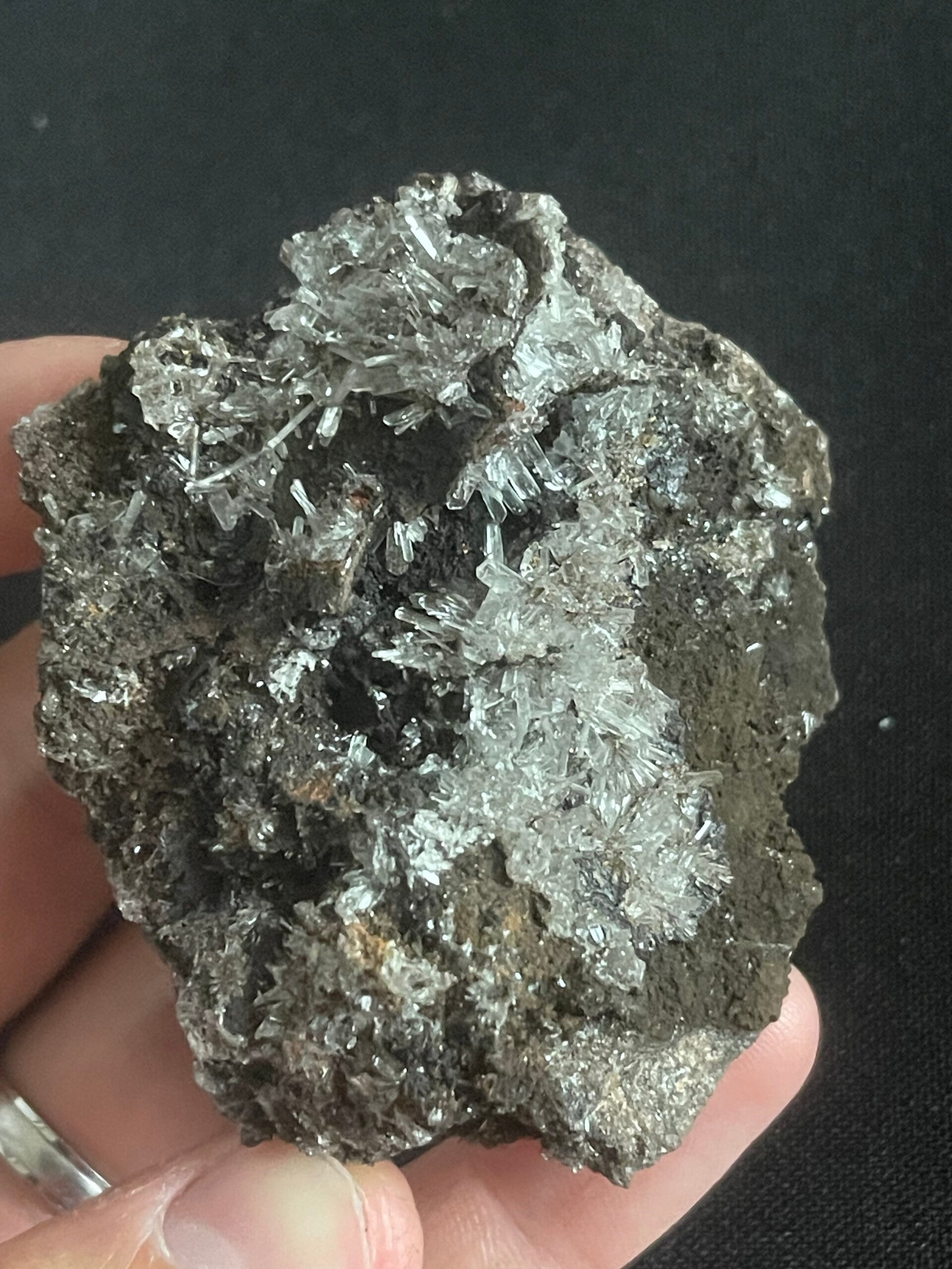 Hemimorfiet - Mexico #4