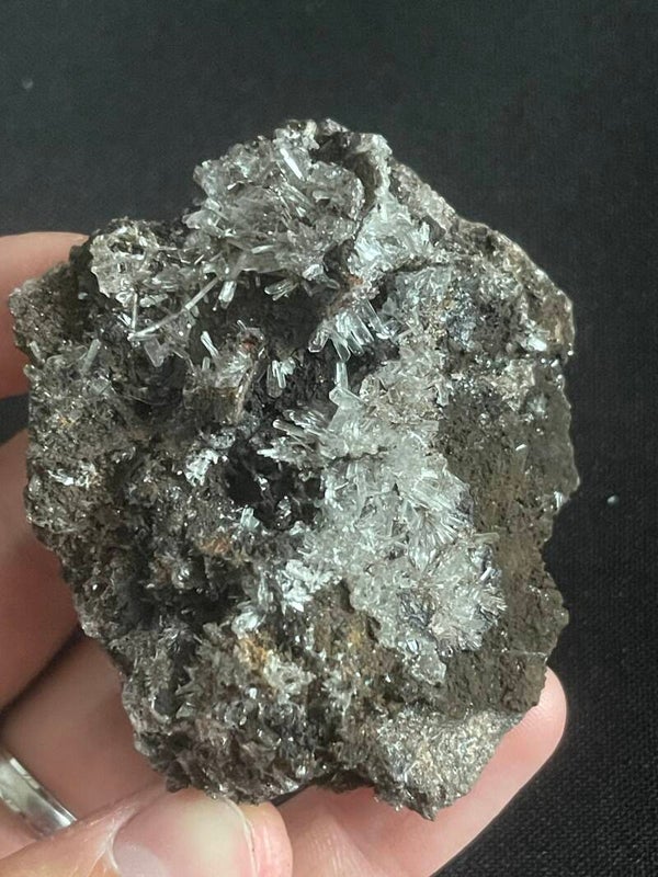 Hemimorfiet - Mexico #4
