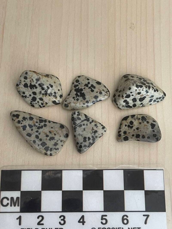 Dalmatiër Jaspis trommelsteen