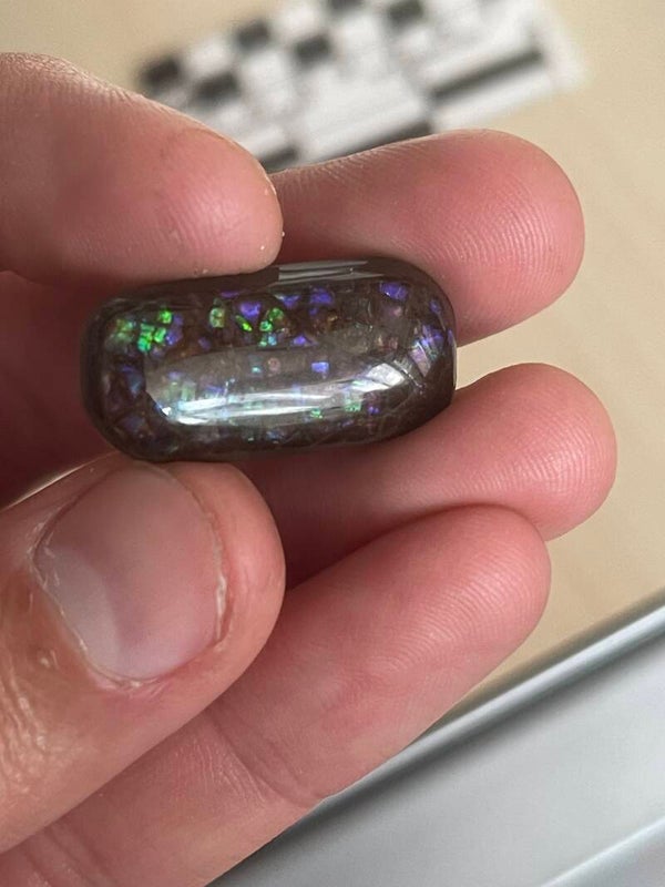 Ammoliet Cabochon (Triplet) E