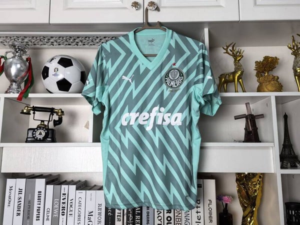 PALMEIRAS MAILLOT GARDIENS 2024-2025