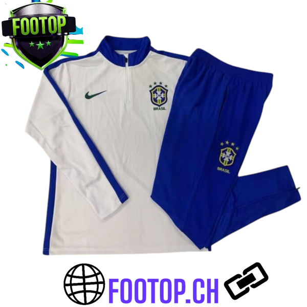 BRAZIL SURVETEMENT 2024-2025