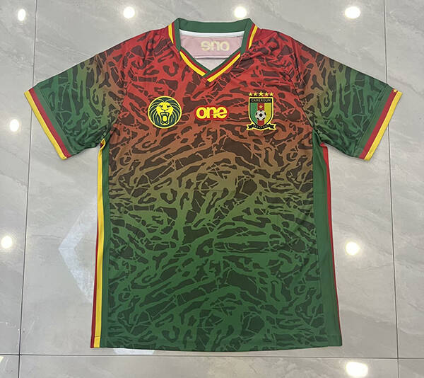 CAMEROUNE MAILLOT ENTRAINEMENT 2024-2025