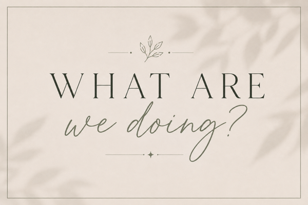 Relationship Alchemy | What Are We Doing?