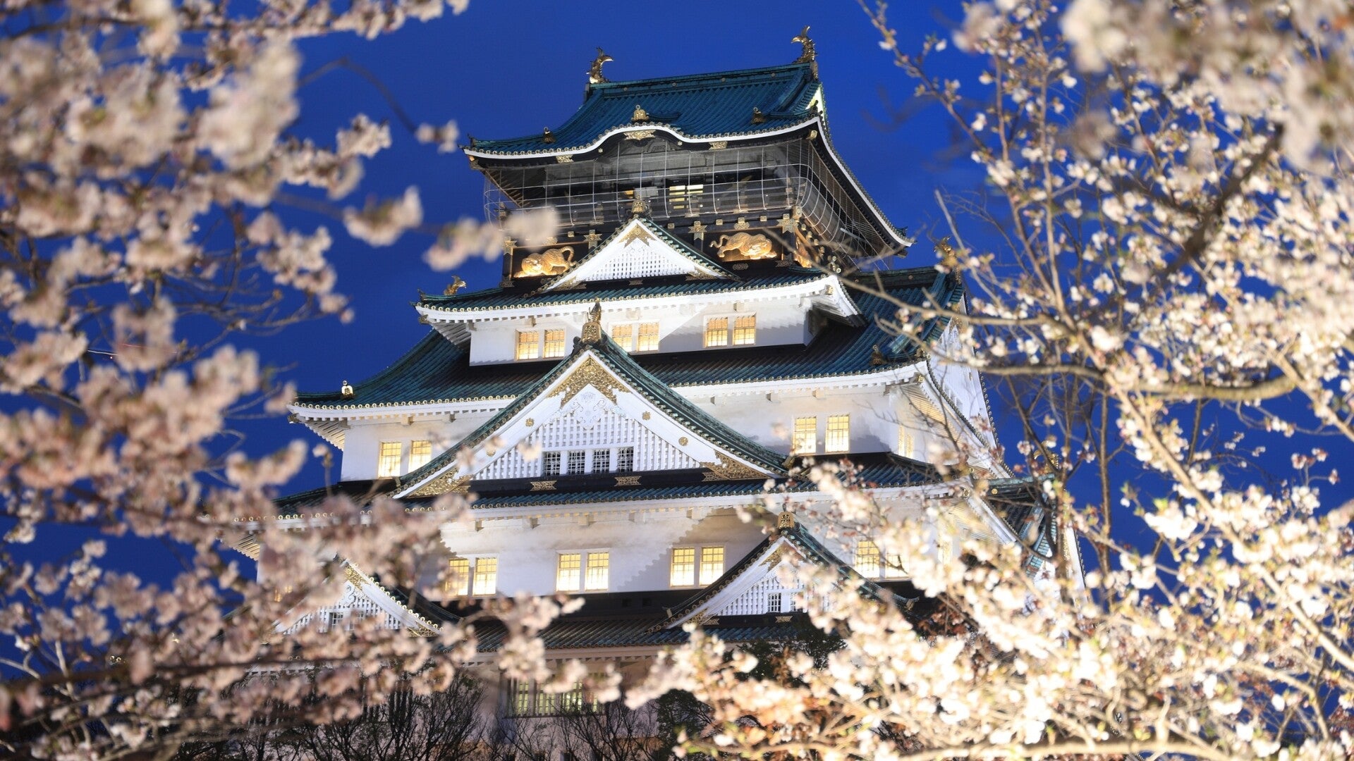 Japan Kansai · Mt. Fuji · Tokyo In-Depth Cultural Experience 6 Nights 7 Days Tour