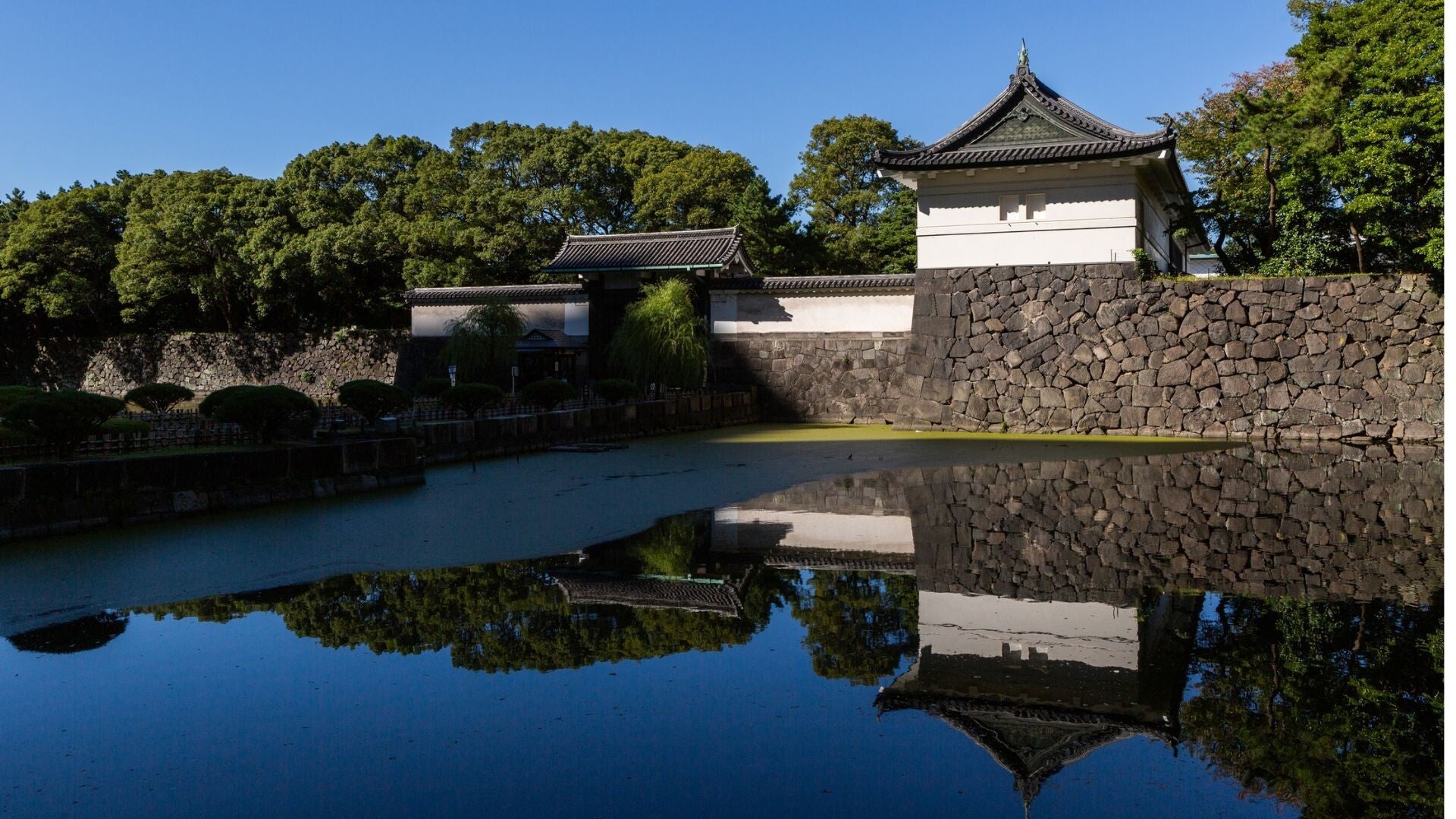 Tokyo Icons Discovery: Imperial Palace, Ueno Museum & Tokyo Tower Premium Private Vehicle Tour with Professional Local Guide Small Group  Up to 10 Guests-Kanto Tokyo Line B