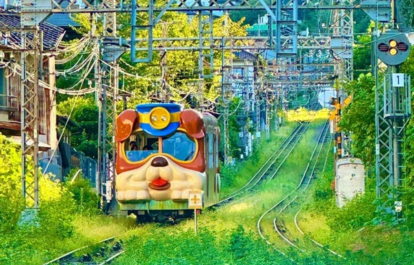 Osaka Ikoma Mountain Sky Cycling, Nara Park, Todai-ji Temple & Mount Wakakusa Day Tour