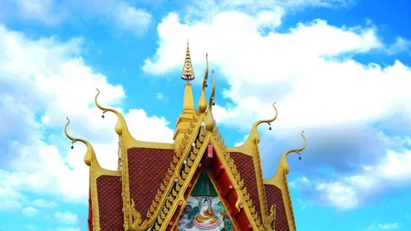 Disneyland Pickup Service-One Way & Two Way