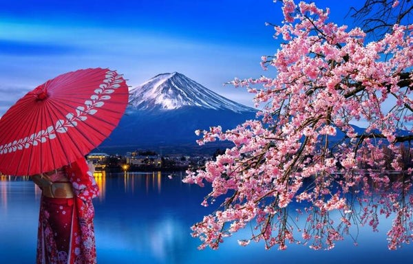 Oshino Hakkai, Outlet Shopping & Hot Spring One-Day Tour