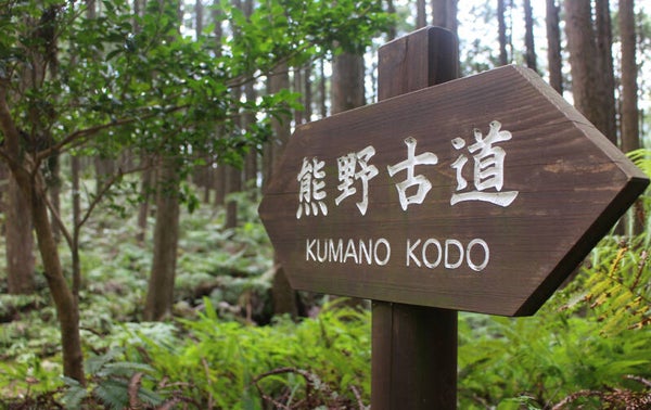 2-Day Kumano Kodo Thousand-Year Pilgrimage Private Tour