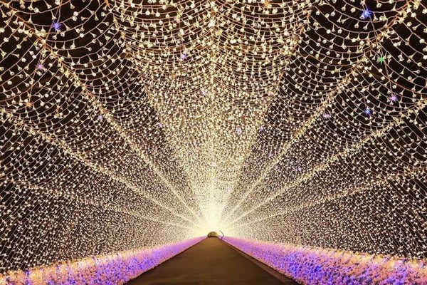 2026 Nagoya Nabana no Sato Illumination & Outlet Shopping with Onsen Day Tour