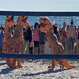 dinos-on-the-beach-standard.jpg