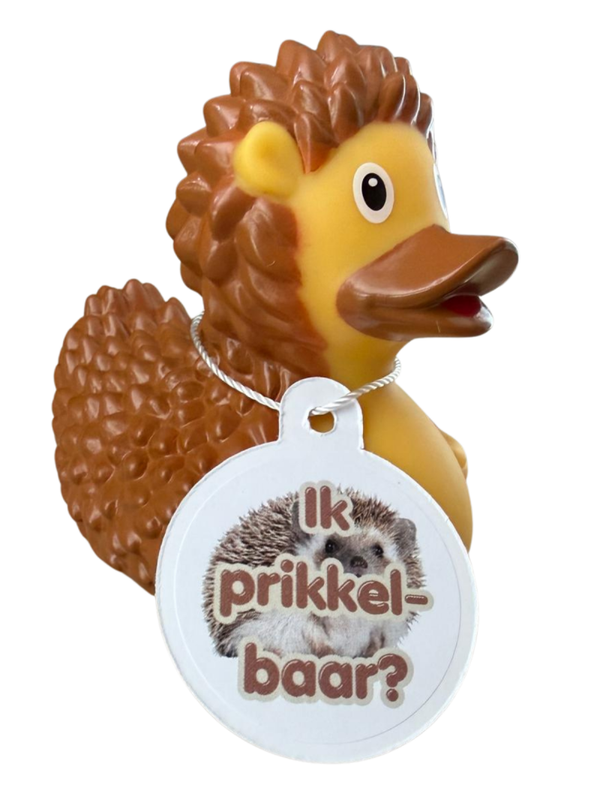 Badeend - Egel prikkelbaar