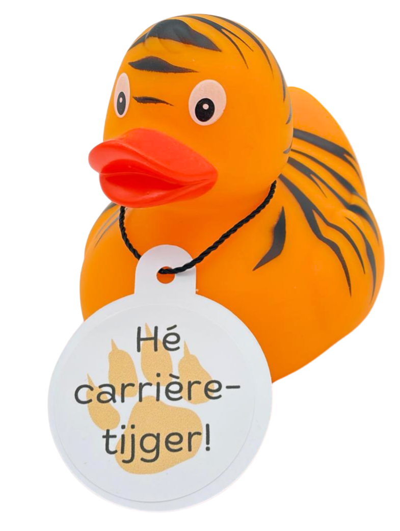 Badeend - Carrièretijger