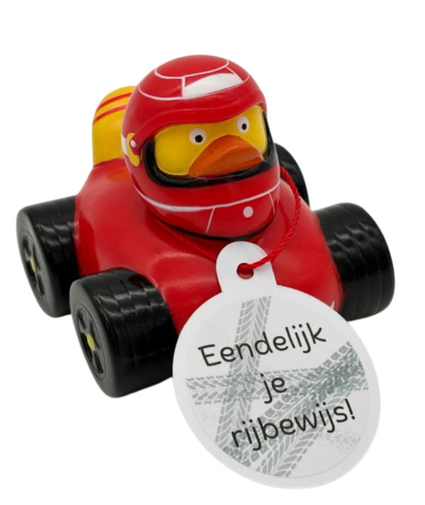 Badeend - Rijbewijs-Motorrijbewijs
