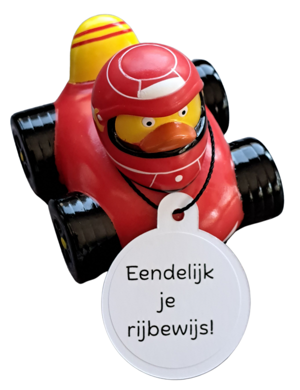 Badeend - Rijbewijs-Motorrijbewijs