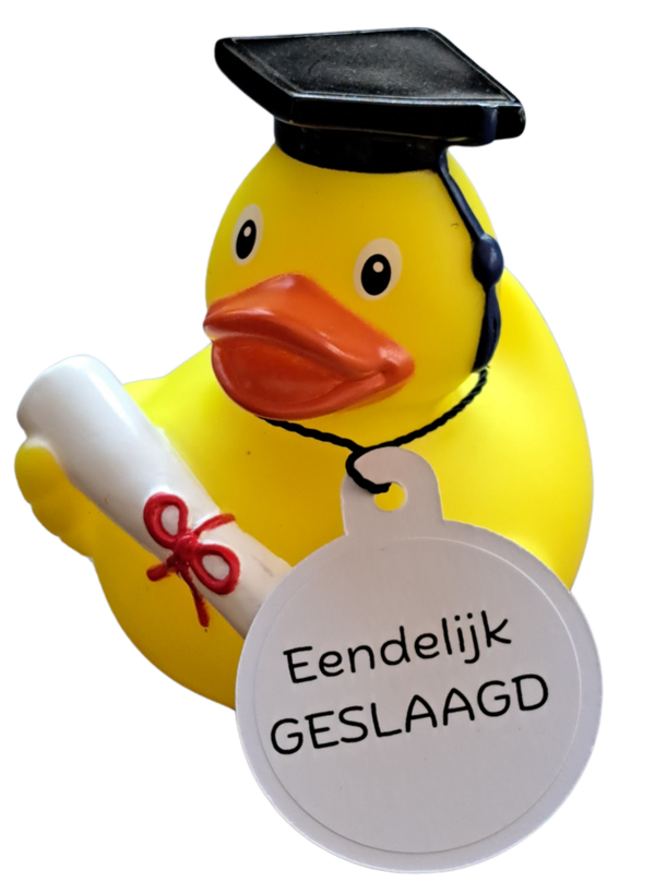 Badeend - Geslaagd