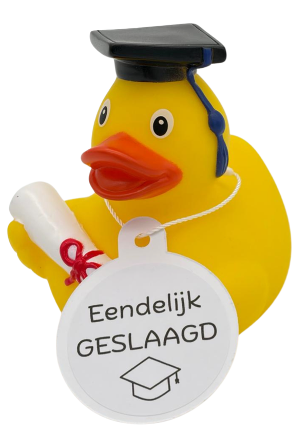 Badeend - Geslaagd
