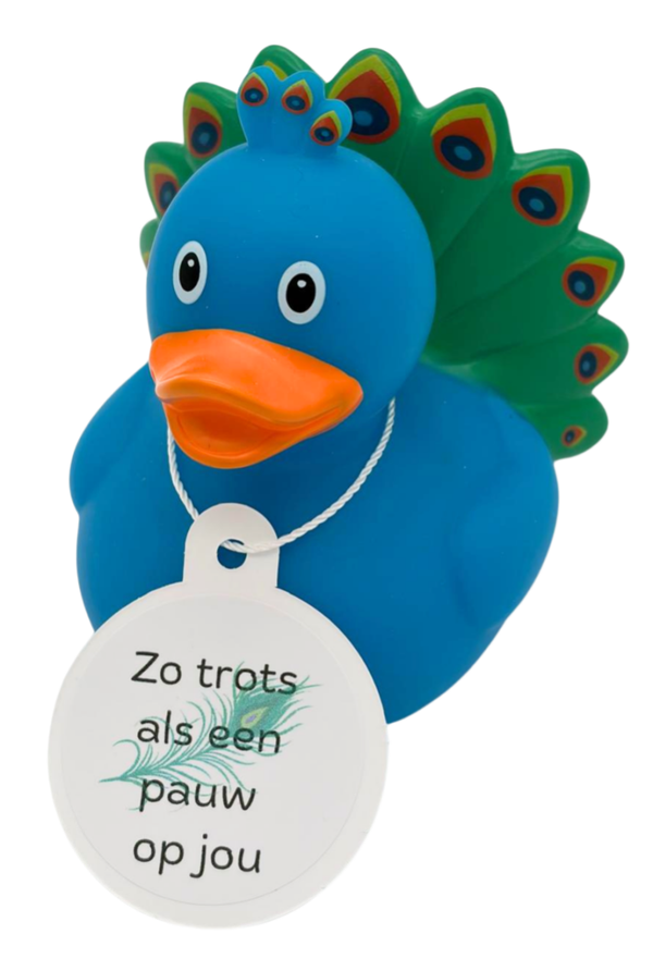 Badeend - Trots als een pauw